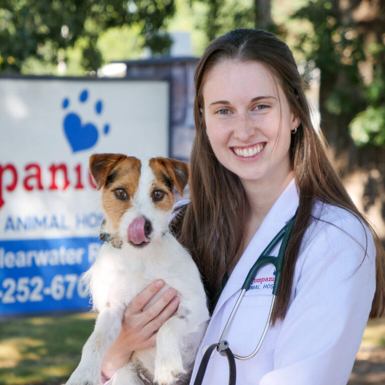 Dr. Jennifer Black, a veterinarian at Companions Animal Hospital.