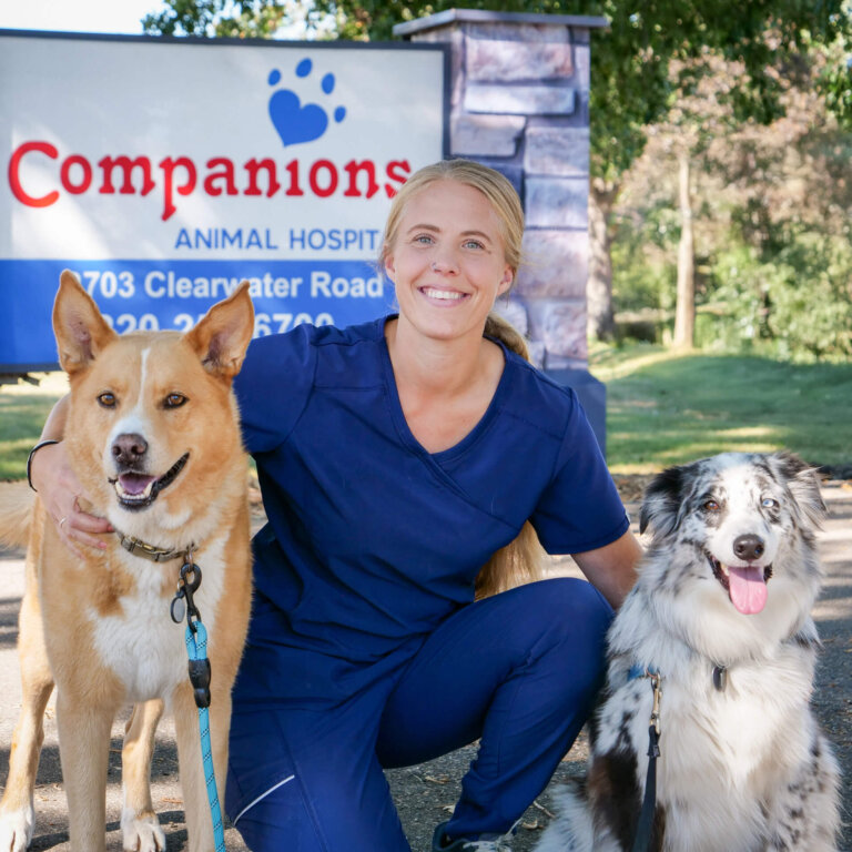 Stephanie, a Veterinary Assistant at Companions Animal Hospital.